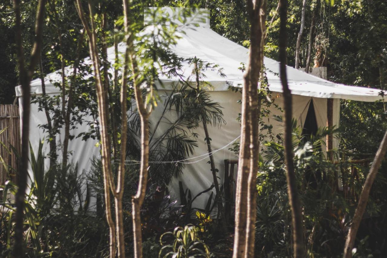 Huaya Camp Leilighet Playa del Carmen Eksteriør bilde
